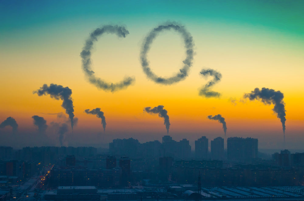 International Reducing CO2 Emissions Day