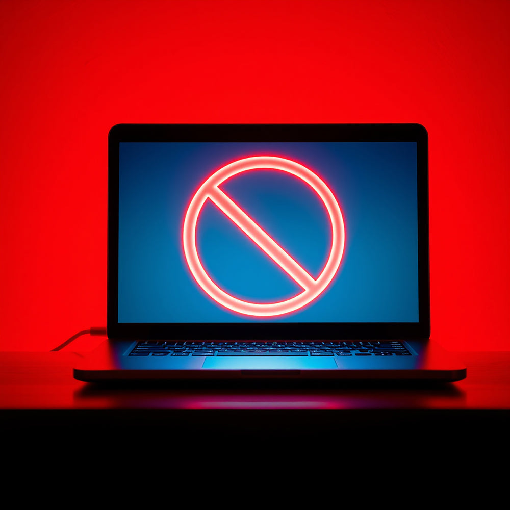 Government’s ‘Digital Inclusion Action Plan: First Steps’ Policy Paper