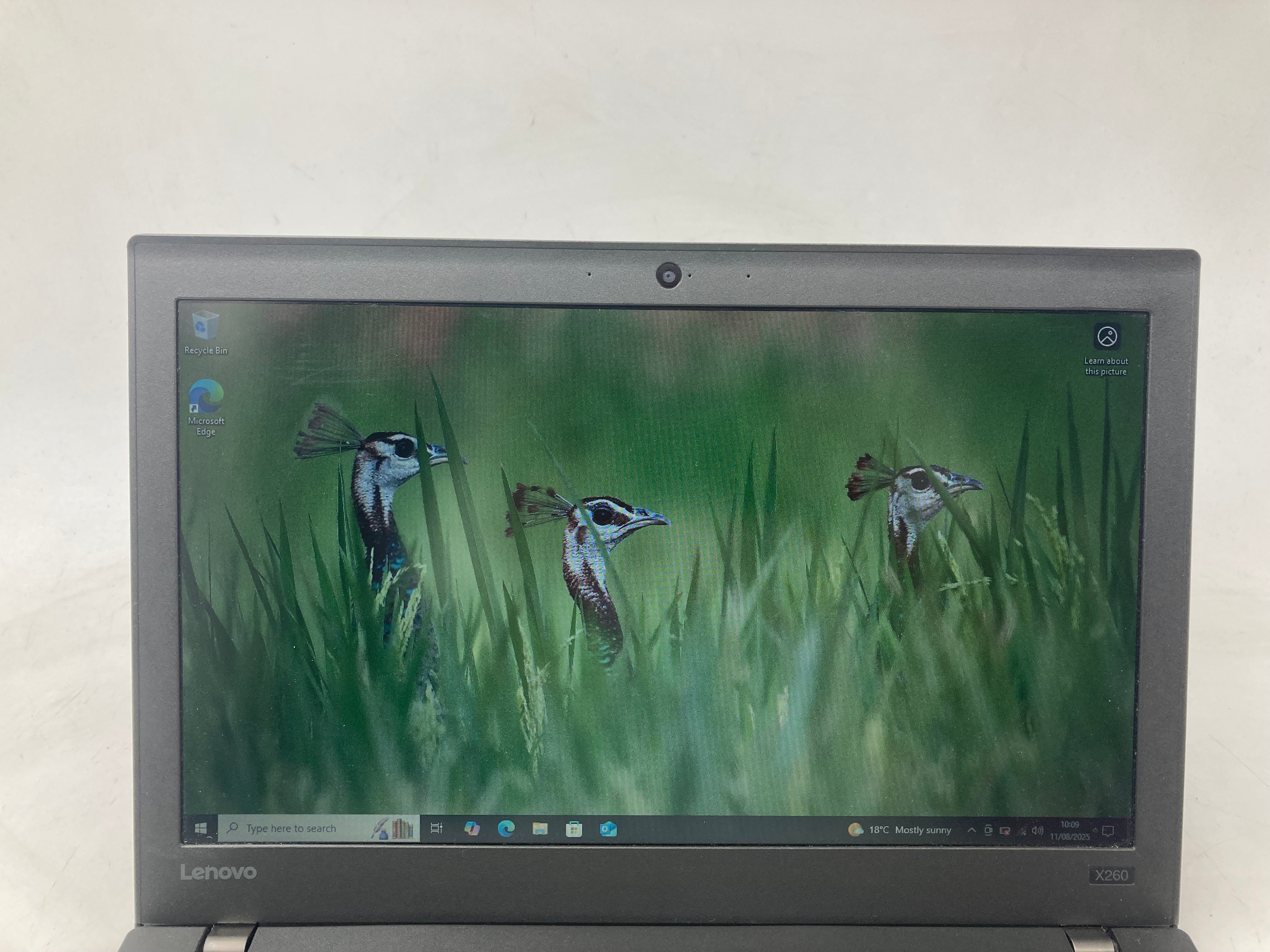 Lenovo ThinkPad X260 12.5" Screen i5 6th Gen 8GB RAM 128GB Win 10