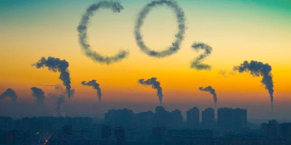 International Reducing CO2 Emissions Day